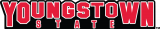 Youngstown State Penguins 1993-Pres Wordmark Logo decal sticker