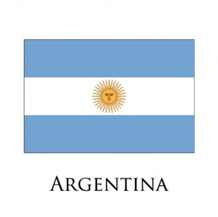 Argentina flag logo Sticker Heat Transfer