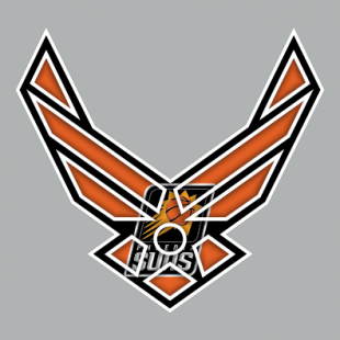 Airforce Phoenix Suns Logo Sticker Heat Transfer