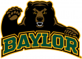 Baylor Bears 2005-2018 Alternate Logo 08 Sticker Heat Transfer