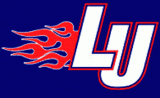 Liberty Flames 2001-2003 Alternate Logo decal sticker