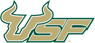 South Florida Bulls 2003-Pres Wordmark Logo 03 decal sticker