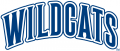 Villanova Wildcats 1996-Pres Wordmark Logo 02 Sticker Heat Transfer