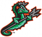 Norfolk Tides 2016-Pres Cap Logo 2 Sticker Heat Transfer