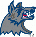 Hartford Wolf Pack 1999-2006 Alternate Logo Sticker Heat Transfer