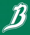 Reynosa Broncos 2009-Pres Cap Logo decal sticker