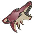 Arizona Cardinals Plastic Effect Logo Sticker Heat Transfer