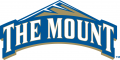 Mount St. Marys Mountaineers 2004-Pres Primary Logo Sticker Heat Transfer