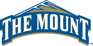 Mount St. Marys Mountaineers 2004-Pres Primary Logo decal sticker