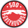 Sault Ste. Marie Greyhounds 1999 00-2008 09 Primary Logo decal sticker