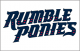 Binghamton Rumble 2017-Pres Jersey Logo Sticker Heat Transfer