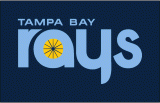 Tampa Bay Rays 2012-2018 Jersey Logo Sticker Heat Transfer