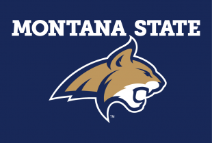 Montana State Bobcats 2013-Pres Alternate Logo 07 Sticker Heat Transfer