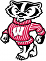 Wisconsin Badgers 2002-Pres Secondary Logo 01 decal sticker