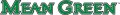 North Texas Mean Green 2005-Pres Wordmark Logo 04 Sticker Heat Transfer