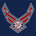 Airforce Washington Nationals Logo decal sticker