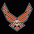 Airforce San Francisco Giants Logo decal sticker