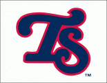 Tennessee Smokies 2010-Pres Cap Logo decal sticker