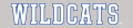 Kentucky Wildcats 2016-Pres Wordmark Logo 09 decal sticker