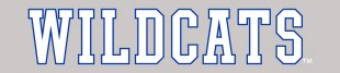 Kentucky Wildcats 2016-Pres Wordmark Logo 09 Sticker Heat Transfer