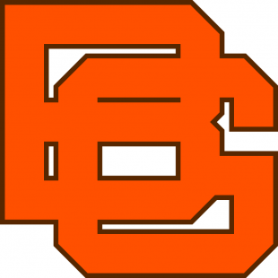 Bowling Green Falcons 1966-1979 Secondary Logo Sticker Heat Transfer