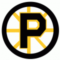 Providence Bruins 1992 93-1994 95 Primary Logo decal sticker