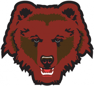 Brown Bears 1997-Pres Partial Logo Sticker Heat Transfer