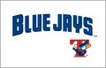 Toronto Blue Jays 2001-2002 Jersey Logo Sticker Heat Transfer