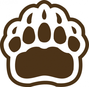 Brown Bears 1997-Pres Secondary Logo 02 decal sticker