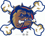 Hamilton Bulldogs 2015 16 Alternate Logo decal sticker