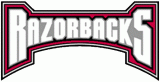 Arkansas Razorbacks 2001-2008 Wordmark Logo decal sticker