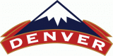 Denver Nuggets 1993 94-2002 03 Alternate Logo Sticker Heat Transfer