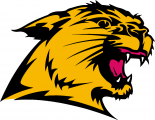 Northern Michigan Wildcats 1993-2015 Secondary Logo Sticker Heat Transfer