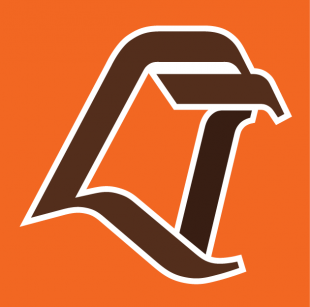 Bowling Green Falcons 1980-2005 Alternate Logo decal sticker