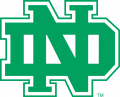 North Dakota Fighting Hawks 1974-2001 Alternate Logo Sticker Heat Transfer