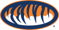 Auburn Tigers 1998-Pres Alternate Logo 02 decal sticker