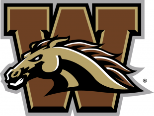 Western Michigan Broncos 2016-Pres Primary Logo decal sticker