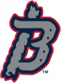 Binghamton Rumble 2017-Pres Alternate Logo 4 decal sticker