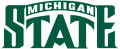 Michigan State Spartans 1987-Pres Wordmark Logo decal sticker