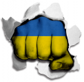 Fist Ukraine Flag Logo decal sticker