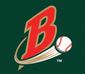 Buffalo Bisons 2004-2008 Cap Logo Sticker Heat Transfer