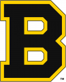 Boston Bruins 1934 35-1948 49 Primary Logo Sticker Heat Transfer