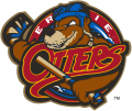 Erie Otters 2016 17-2018 19 Alternate Logo decal sticker