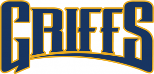 Canisius Golden Griffins 2006-Pres Wordmark Logo 02 decal sticker