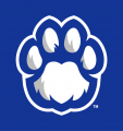 Eastern Illinois Panthers 2015-Pres Alternate Logo 04 decal sticker