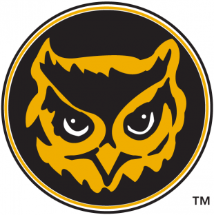 Kennesaw State Owls 1992-2011 Alternate Logo 01 Sticker Heat Transfer