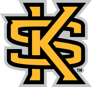 Kennesaw State Owls 2012-Pres Secondary Logo decal sticker