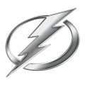Tampa Bay Lightning Silver Logo Sticker Heat Transfer