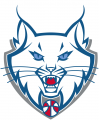 Minnesota Lynx 2011-2017 Alternate Logo Sticker Heat Transfer