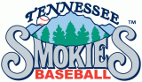 Tennessee Smokies 2000-2014 Primary Logo Sticker Heat Transfer